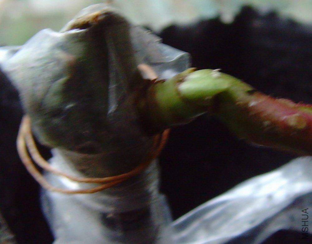 ����۶ϣ�û���ѡ�