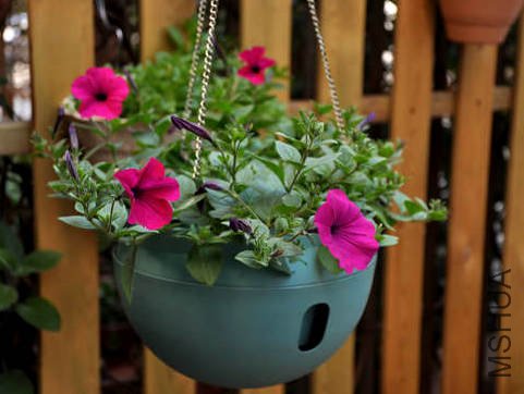 ��ɫ����