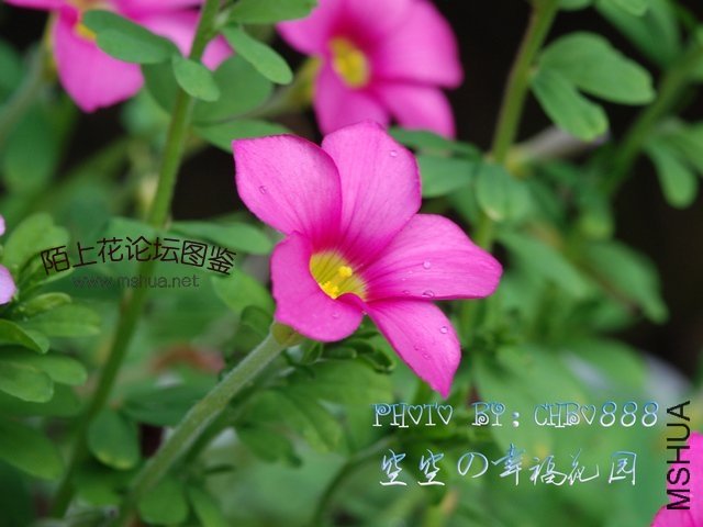 DSC_1957.jpg