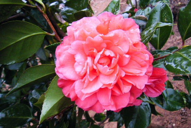 ��Ƭ 075.jpg