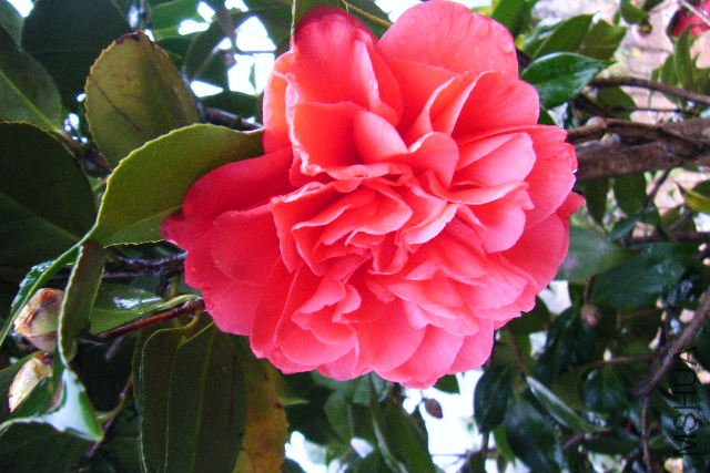 ��Ƭ 076.jpg