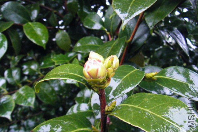 ��Ƭ 065.jpg
