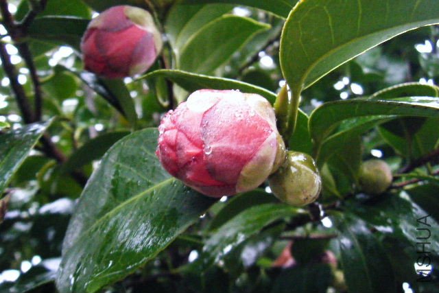 ��Ƭ 067.jpg
