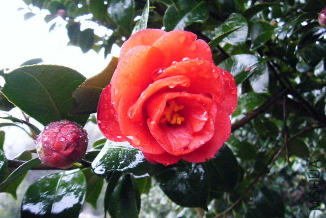 ��Ƭ 068.jpg