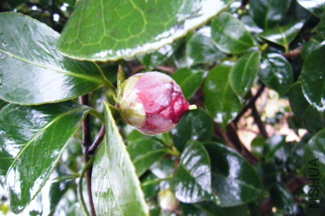 ��Ƭ 066.jpg