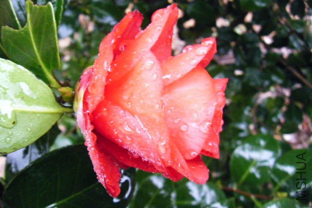 ��Ƭ 069.jpg