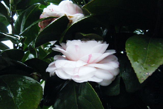��Ƭ 060.jpg