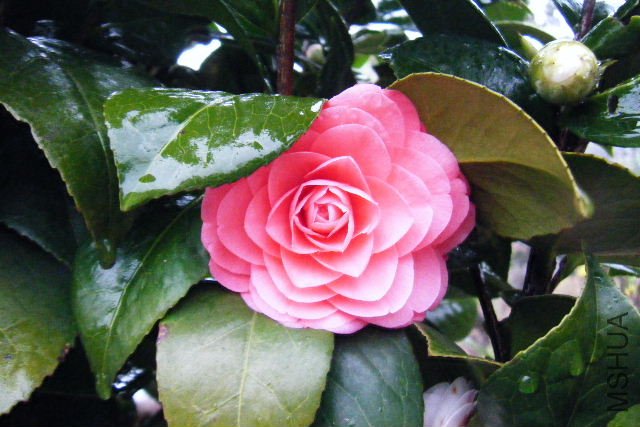 ��Ƭ 059.jpg