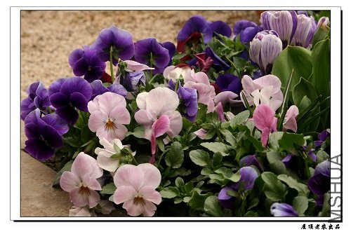 ������Ľ���