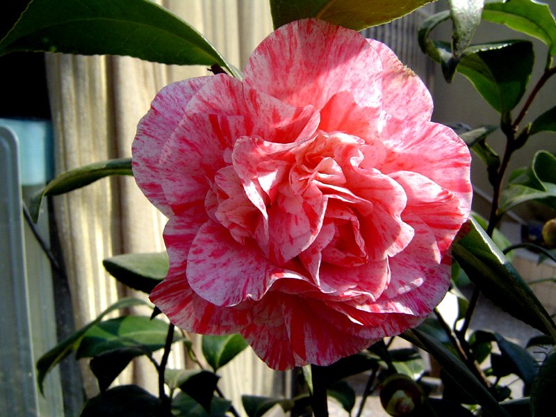2011����1.JPG