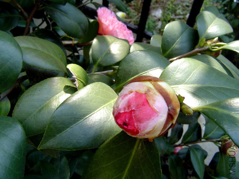 2011����8.JPG