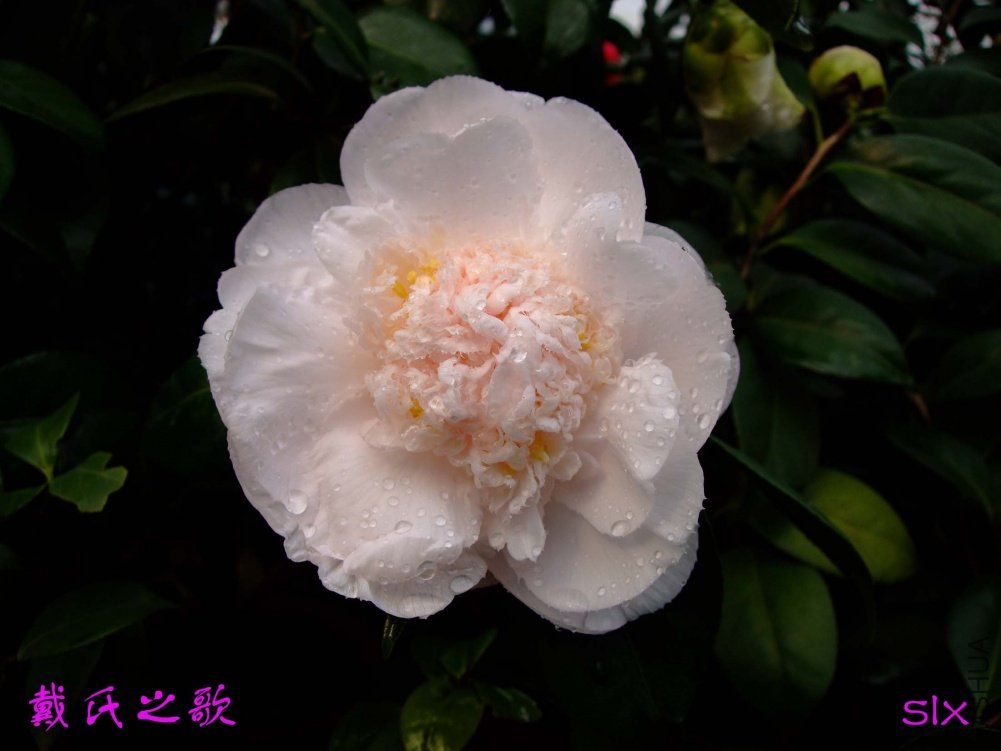 ����֮��11-3-11f (1).jpg