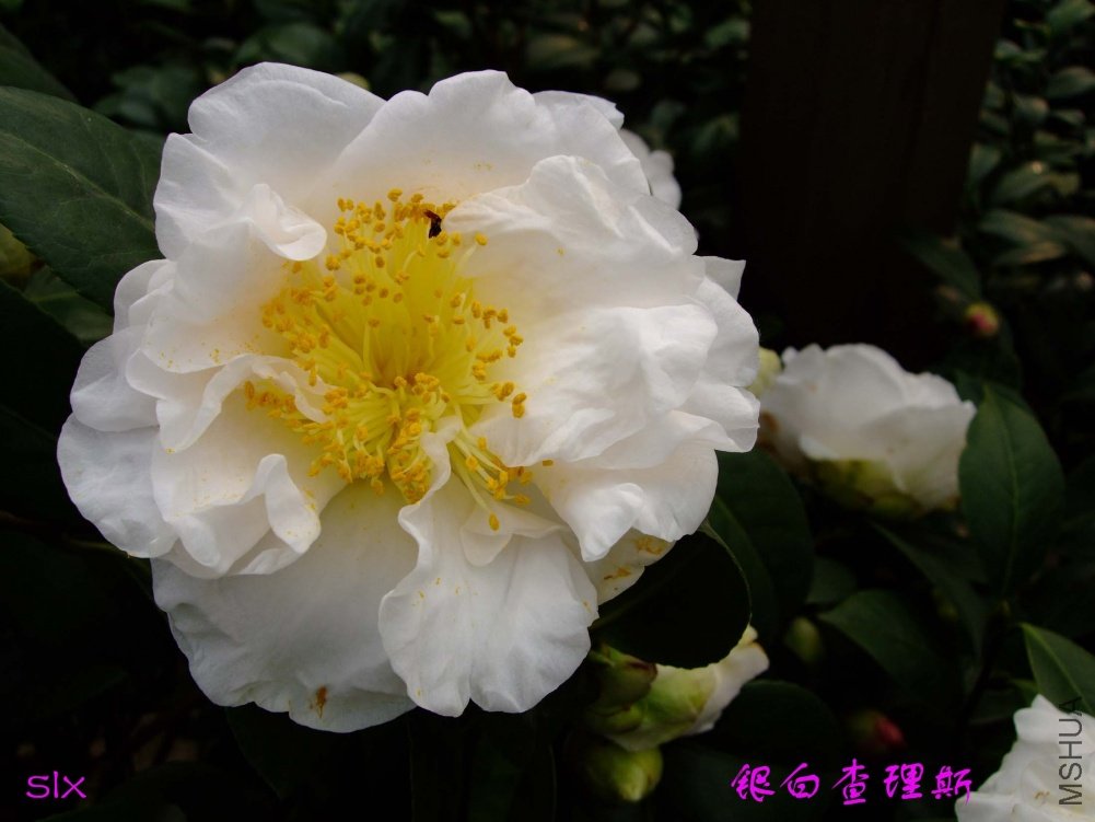 ���� 11-3-11f (3).jpg