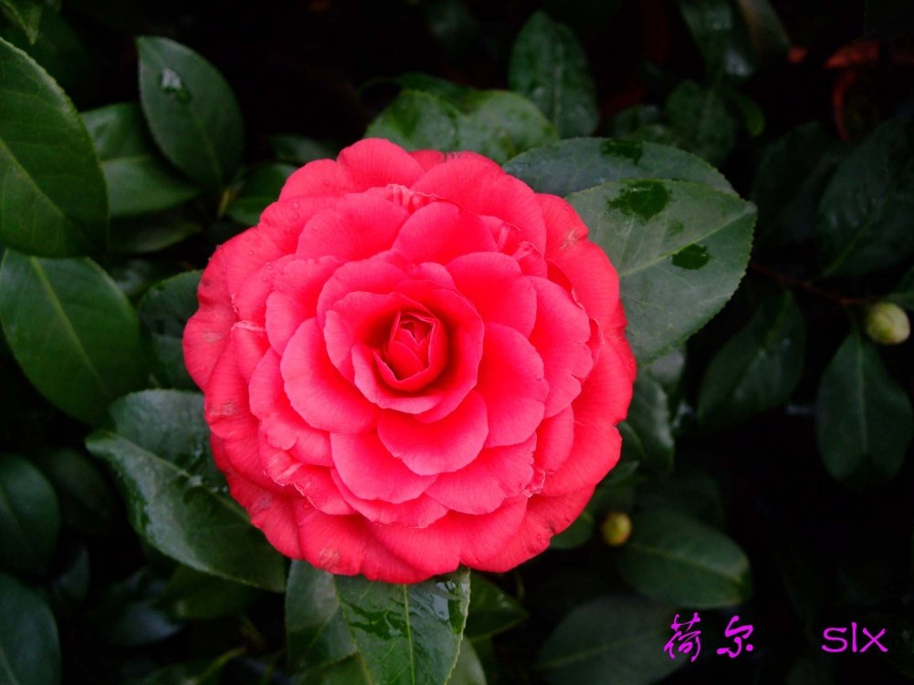 �ɶ�11-3-11f (1).jpg