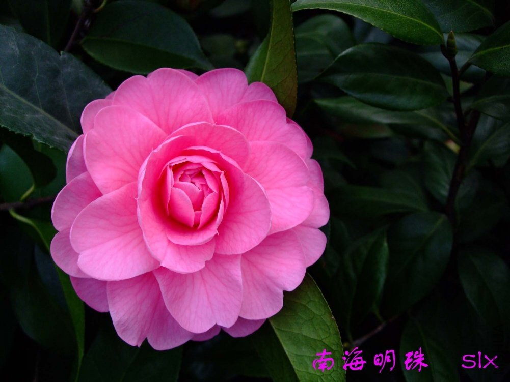 �Ϻ�����11-3-11f (1).jpg