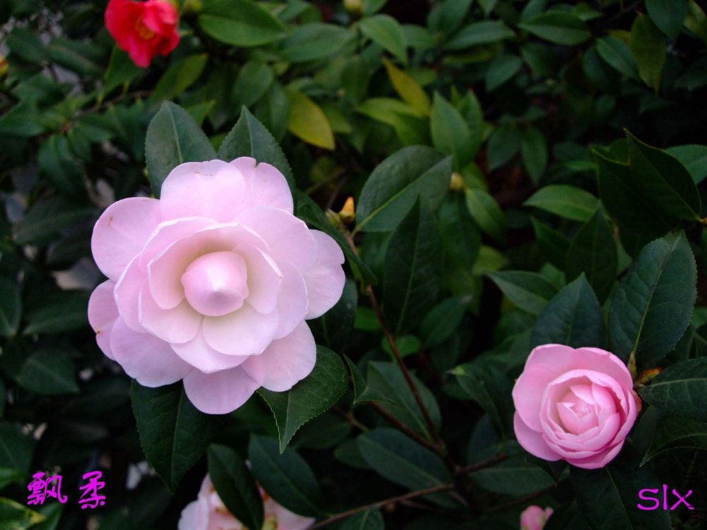 Ʈ��11-3-11f (2).jpg