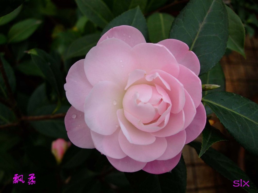 Ʈ��11-3-11f (1).jpg