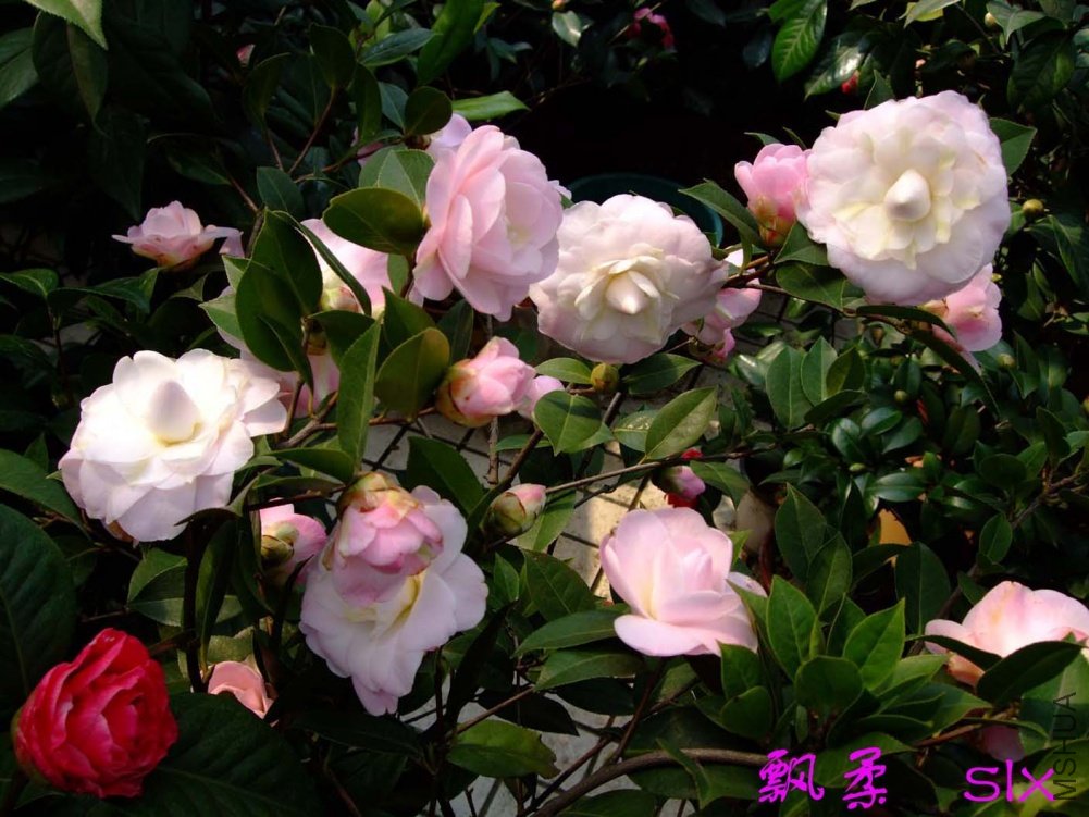 Ʈ��11-3-10f (3).jpg