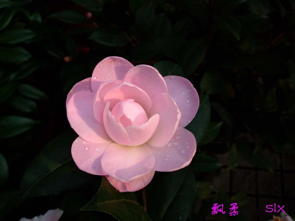 Ʈ��11-3-10f (4).jpg