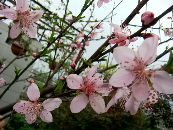 DSC04288.JPG