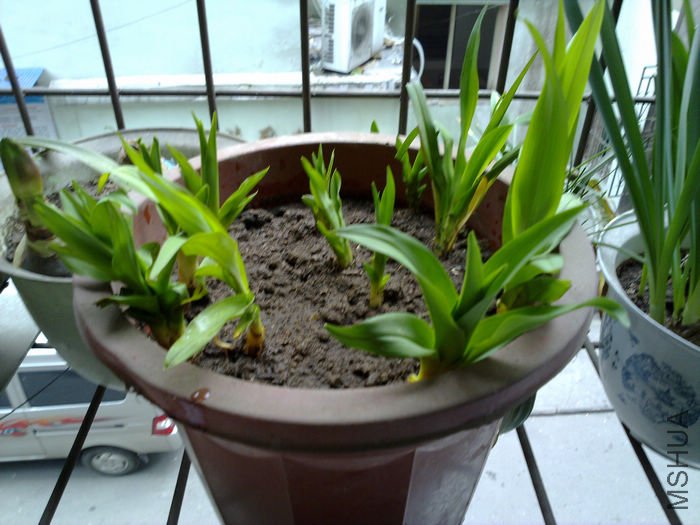 nEO_IMG_20110311573.jpg