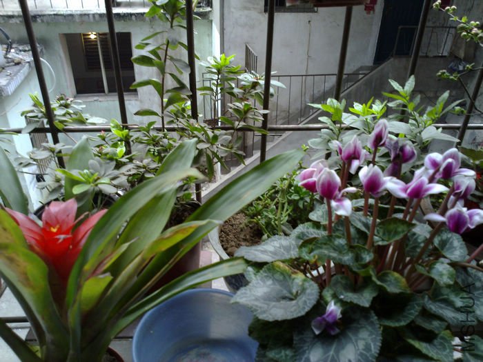 nEO_IMG_20110311580.jpg