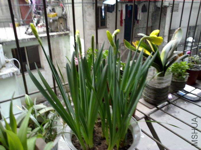 nEO_IMG_20110311575.jpg