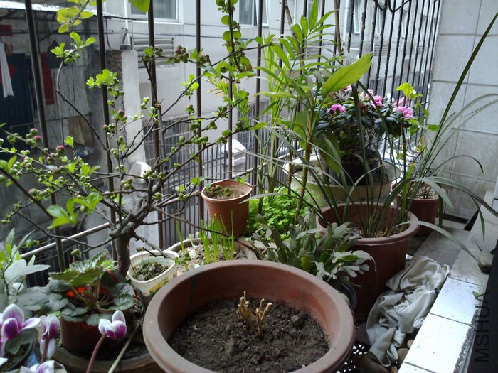 nEO_IMG_20110311579.jpg