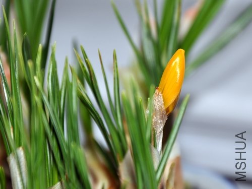 DSC_0168.JPG