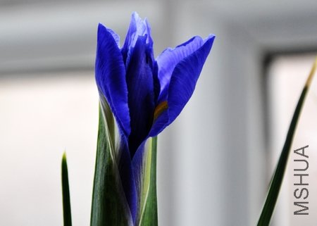 DSC_0124.JPG