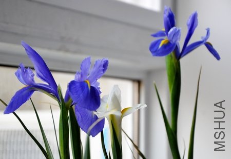 DSC_0197.JPG