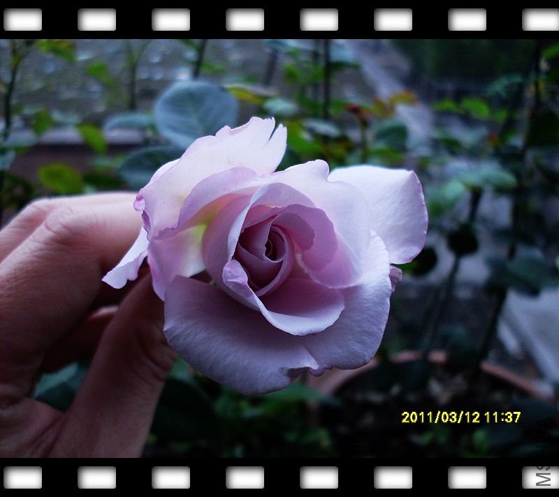 nEO_IMG_SDC17408.jpg