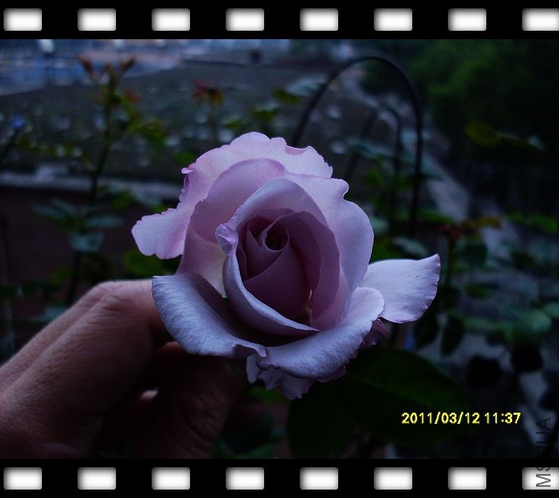 nEO_IMG_SDC17409.jpg