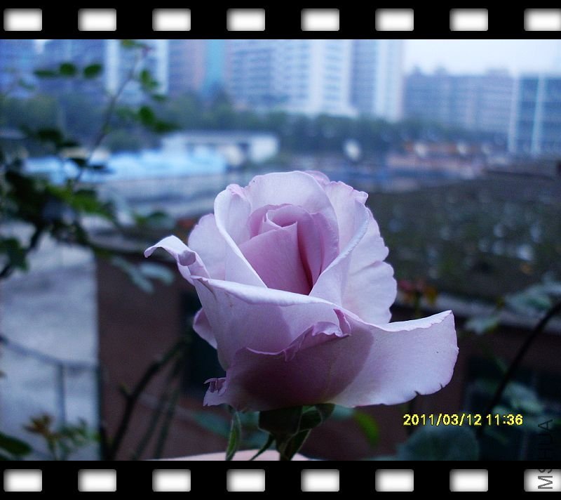 nEO_IMG_SDC17407.jpg