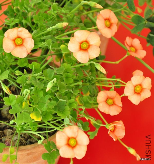 ��Ƭ 085.jpg
