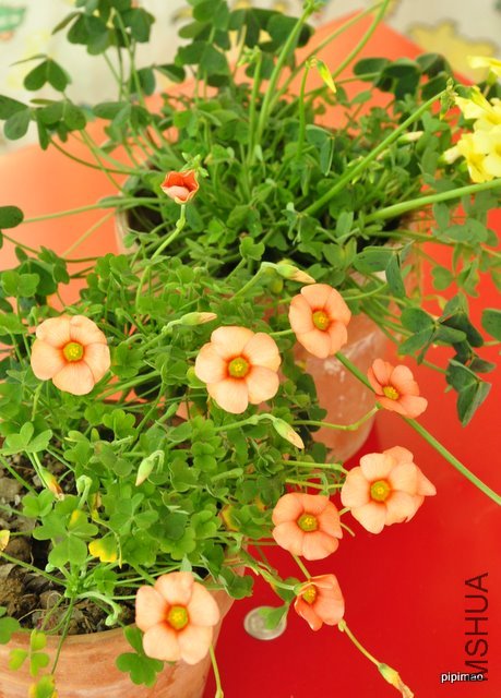 ��Ƭ 086.jpg