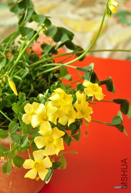 ��Ƭ 090.jpg