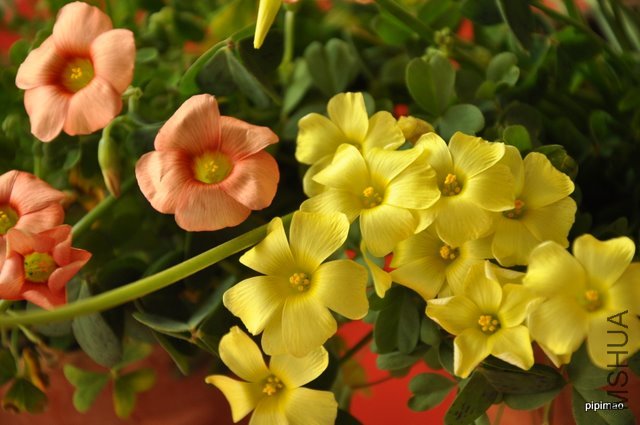��Ƭ 093.jpg