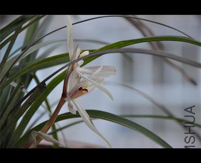 DSC_0015_����.jpg