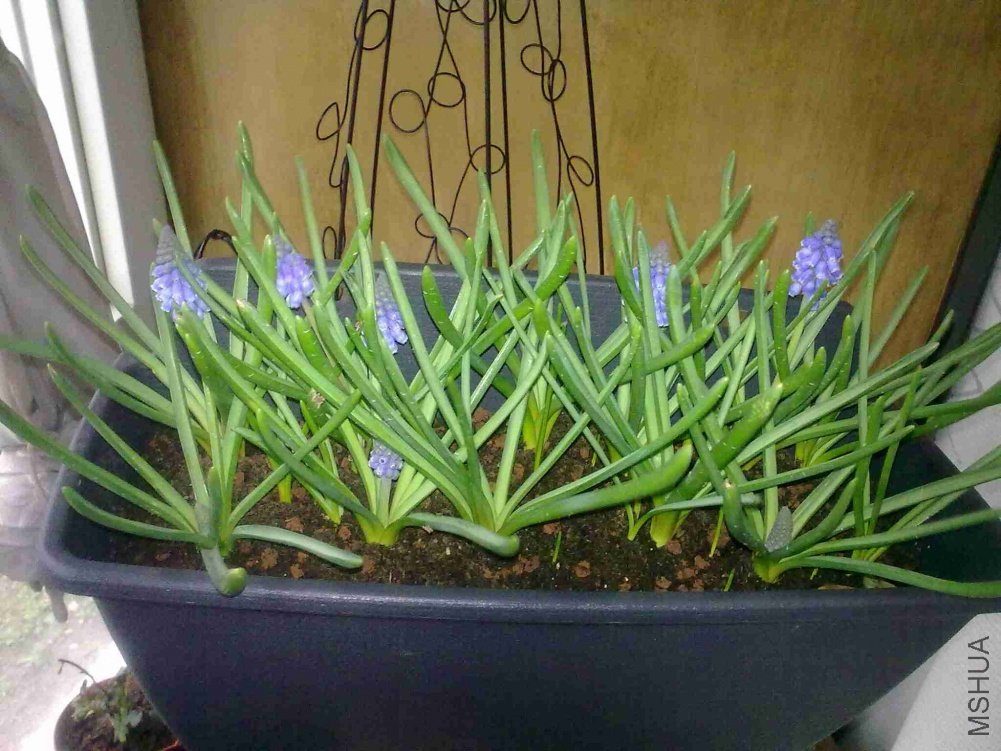 201103061776.jpg