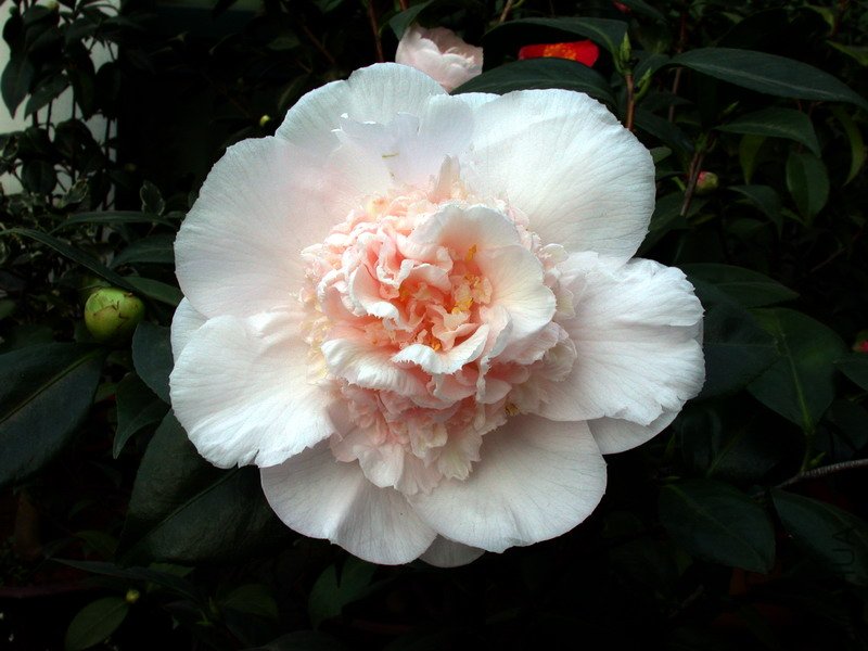 ����֮��