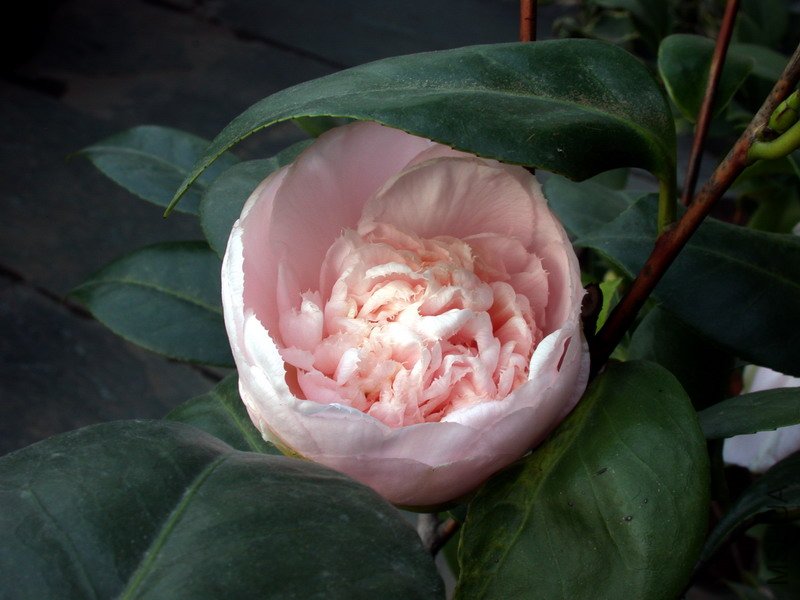 ����֮��