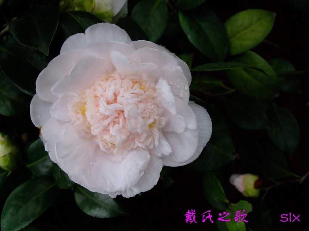 ����֮��11-3-12f (1).jpg