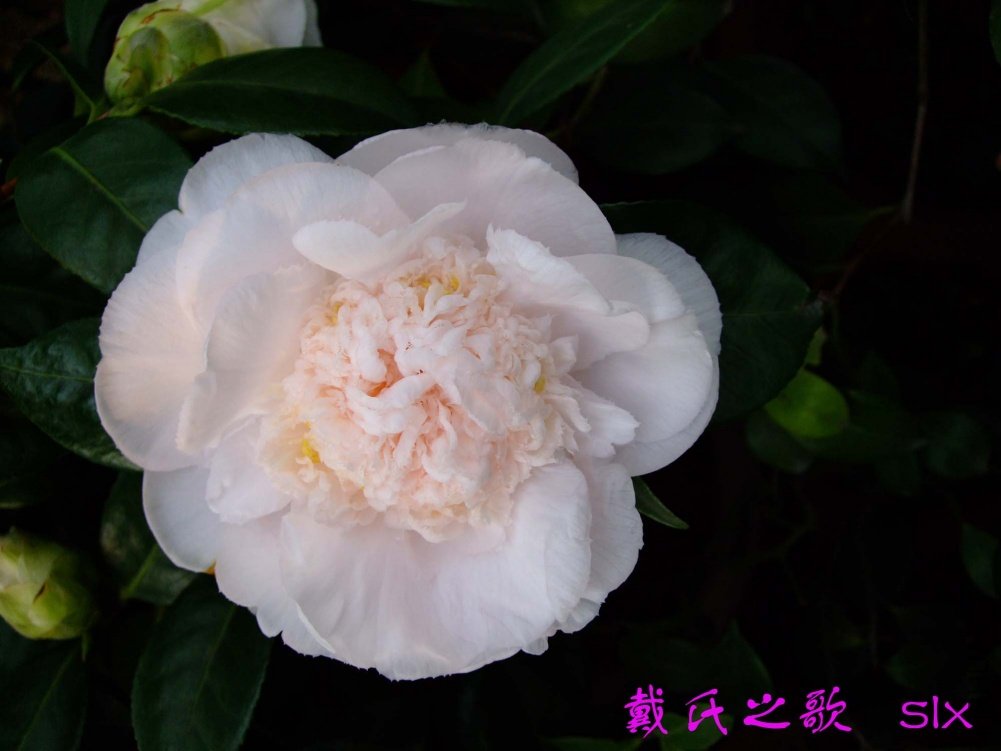 ����֮��11-3-12f (2).jpg