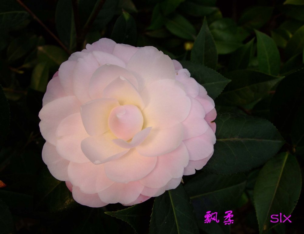 Ʈ��11-3-12f (6).jpg