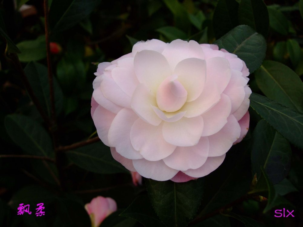 Ʈ��11-3-12f (5).jpg