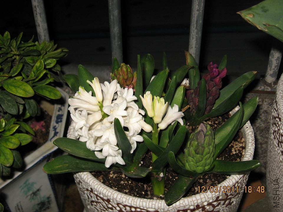 201103 055.jpg