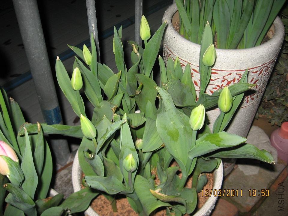 201103 063.jpg