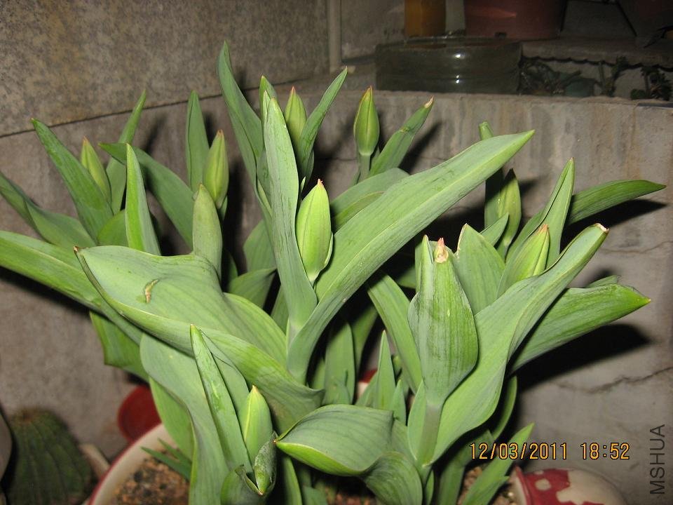 201103 066.jpg