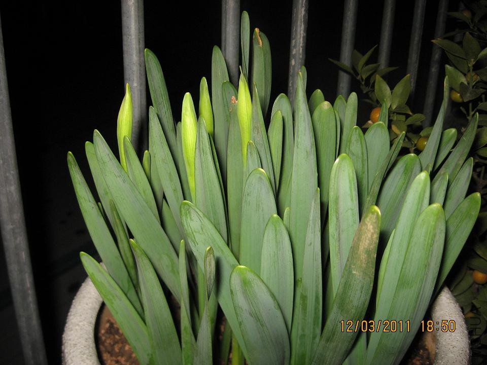 201103 062.jpg